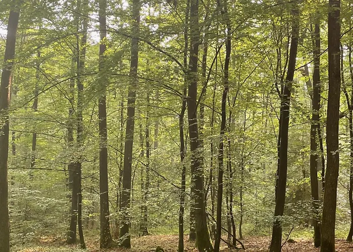 Neu Feinzeit Mit Privater Sauna