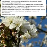 Neu Feinzeit Mit Privater Sauna * Frensdorf