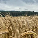 Neu Feinzeit Mit Privater Sauna