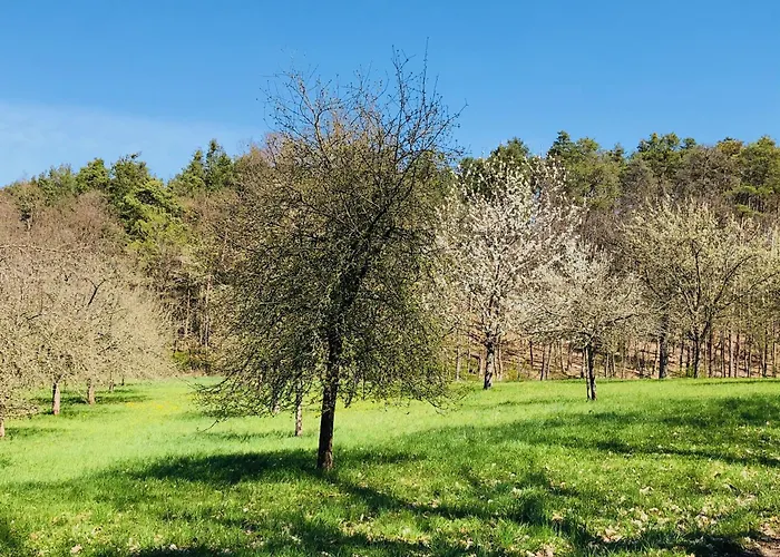 Neu Feinzeit Mit Privater Sauna בקתה Frensdorf